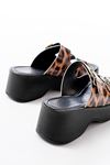 24414-574 Leopard Patent Leather Casual Buckle Padded Heel Women Slippers